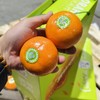 周三取货：【琥珀沃柑礼盒】一箱毛重8斤左右，甜蜜多汁！ 商品缩略图1