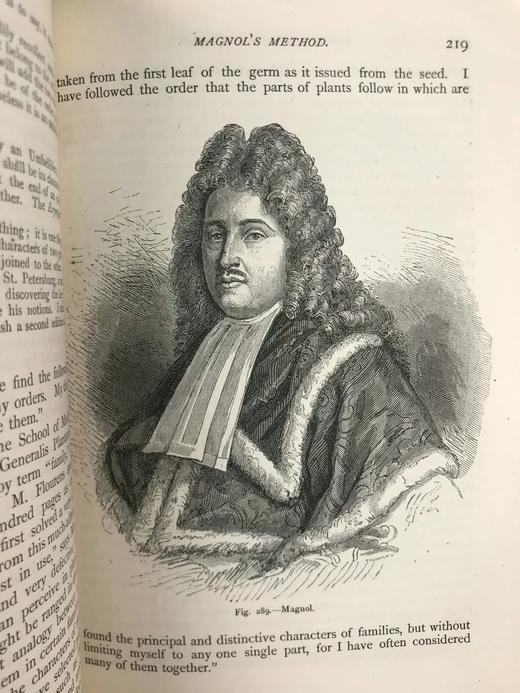 约19世纪后期 植物世界 476幅插图 全真皮精装32开 商品图7