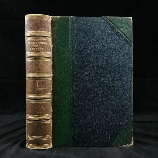 1886年 英国森林树木图鉴 百余幅插图 漆布精装32开 商品图0