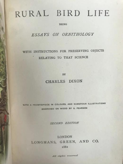 1882年 乡村鸟类生活 数十幅木版画插图 漆布精装32开 商品图3