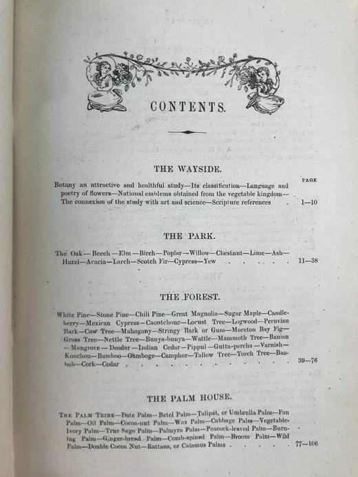 约19世纪后期 植物生命的美丽与奇观 数十幅版画插图 漆布精装36开 商品图4