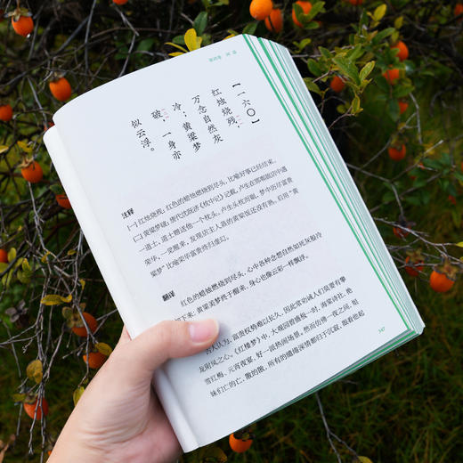 菜根谭（彩图本） 商品图8