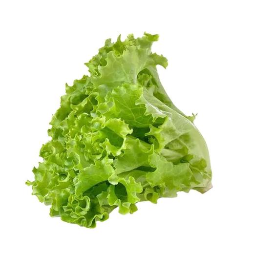 生菜（500±30g） 商品图1