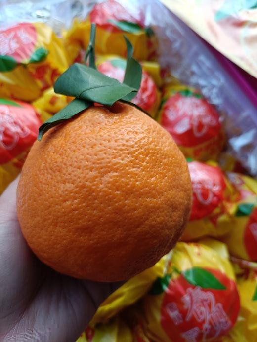 易鲜得春见耙耙柑，新鲜爆浆、果味浓郁，汁水足 商品图5