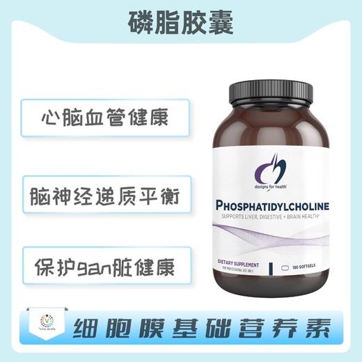 海外  Phosphatidylcholine  磷脂胶囊 商品图0