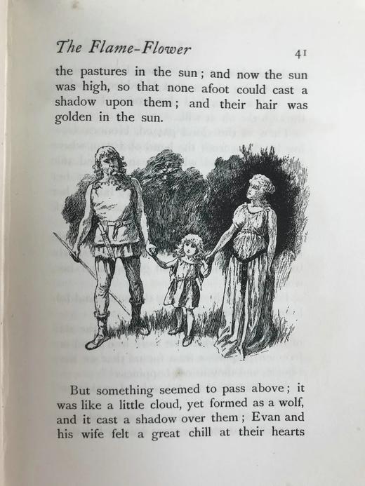 1896年 苏利文《火焰花及其他故事》 作者亲绘约百幅插图 漆布精装32开 商品图10