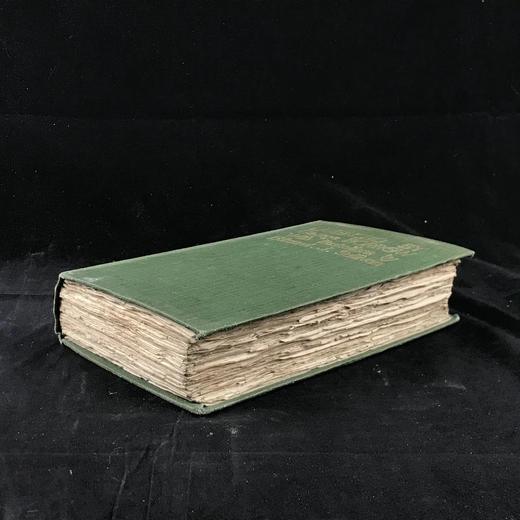 1914年 乔治·博罗《拉文格罗》 埃德蒙·苏利文12幅彩色手工贴图 漆布精装32开 商品图1