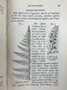 1861年 英国蕨类及其近缘植物 12幅套色版画插图 漆布精装36开 商品缩略图12