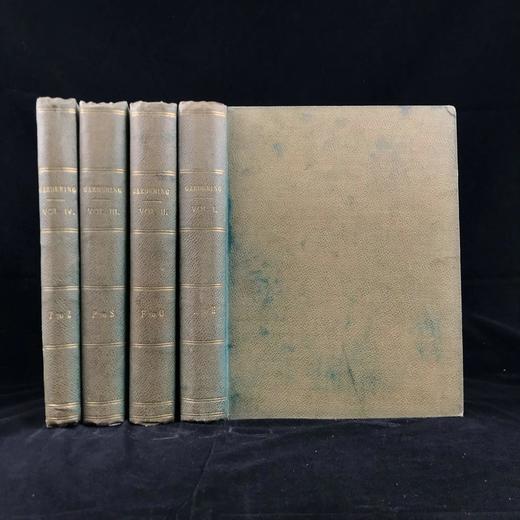 约19世纪后期 图解园艺词典（全4卷） 数百幅精美版画插图 漆布精装16开 商品图0