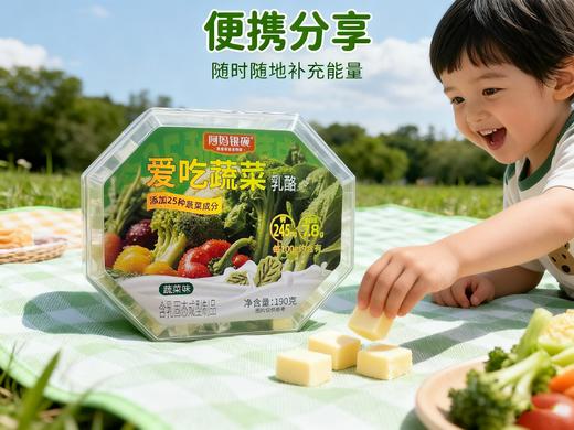 蔬菜干奶豆腐饼干 每100克含734毫克钙 内蒙古特色美食 商品图1