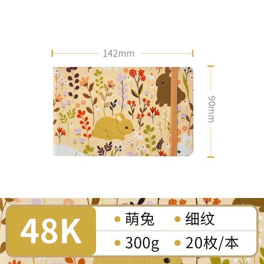 飞乐鸟 木浆布艺水彩写生本 细纹 萌兔142*90mm 20枚/本 商品图0