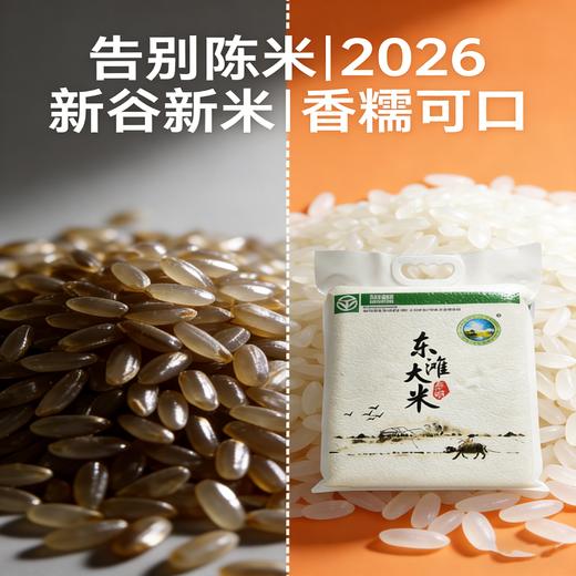 【当季米】“东滩绿港”东滩大米外部真空全年套餐A（5kg*2包*12次，共120kg） 商品图3