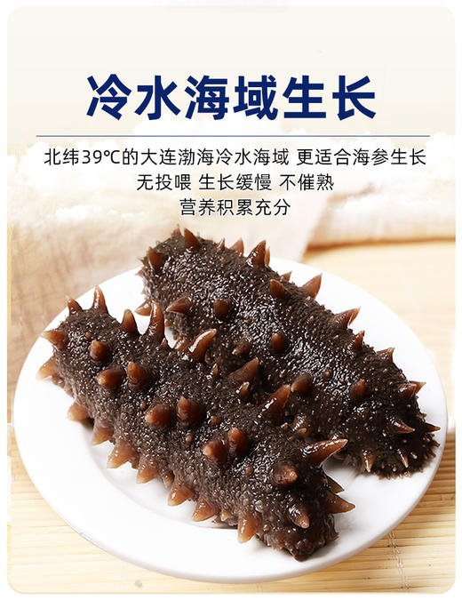 宠爱季 · 遇见更美的自己【顺丰发货！爆款大连即食海参】5A7A海参，拒绝任何成分的添加，营养丰富 商品图2
