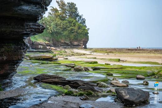 <广西涠洲岛3天动车深度游>出海观鲸、鳄鱼山火山公园、石螺口 海滩、盛塘天主教堂、梦幻五彩滩、滴水丹屏日落、浪漫蓝湾、贝壳沙 滩、海上蓝桥 商品图2