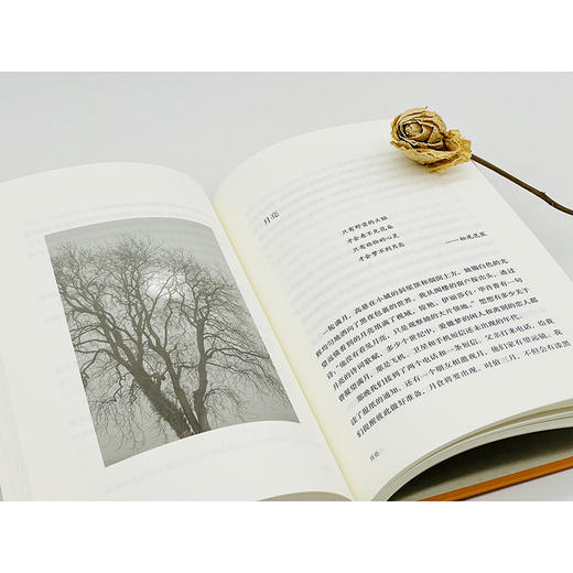 去岛屿：北极光、鲣鸟与鲸(自然文库) 商品图4