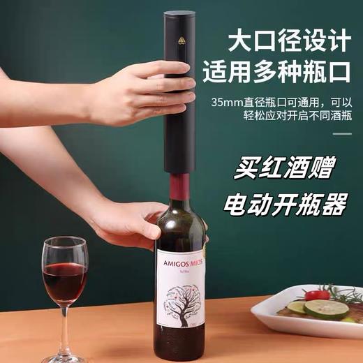 热卖中！送电动开瓶器！【法国原瓶进口】古堡庄园·南斯歌达AOP干红葡萄酒 14.5度干红 750ml*6瓶/箱 商品图1