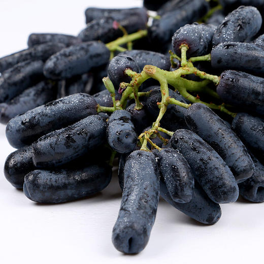 【会员41.5/斤】澳大利亚进口蓝宝石金手指无籽黑提 商品图5