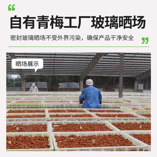 油柑梅片80g/袋 商品图3