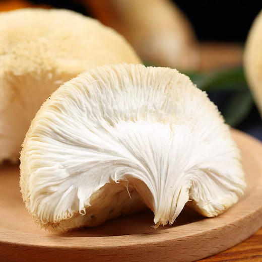 猴头菇 鲜 商品图1