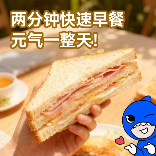 【鲨鱼菲特300-200】高蛋白醇香火腿片(两片) 商品图3
