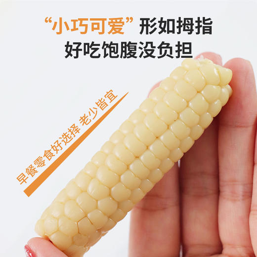 西双版纳拇指小玉米 轻食新宠  低脂代餐，饱腹感强，健康新选择！ 商品图2
