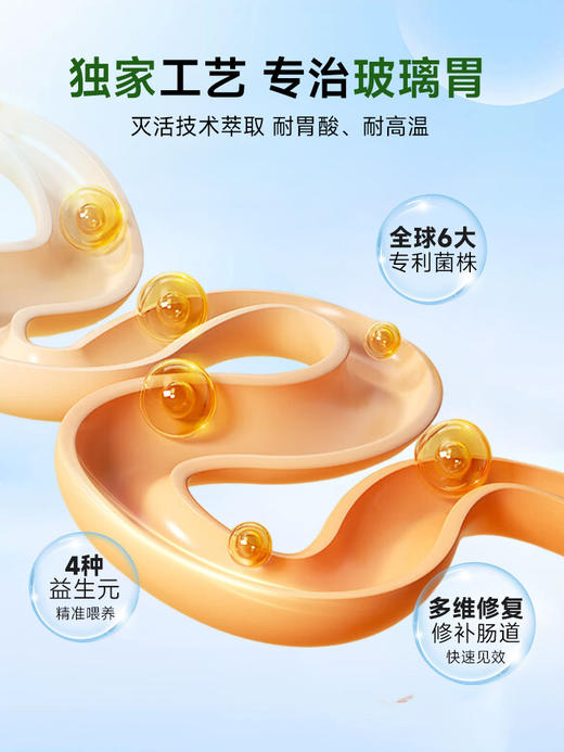 零白后生元益生菌PuraGUT  成人中老年 噗噗顺畅 呵护肠胃 商品图5