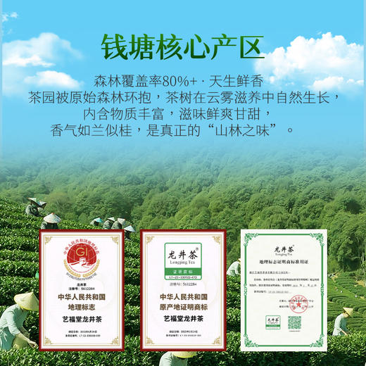 【新茶预售】艺福堂2026年森林龙井茶（雨林认证）125g/盒 商品图2