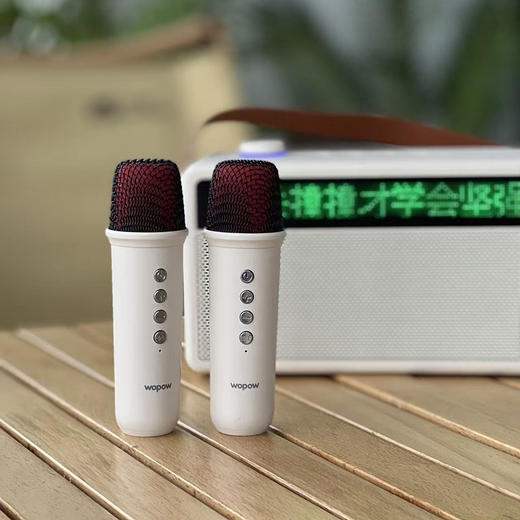 热卖中！【15天免费试用】沃品便携K歌蓝牙音箱AP09 自带双麦克风 显示歌词 商品图7