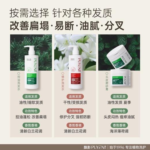 飘影清爽控油洗发水 商品图4