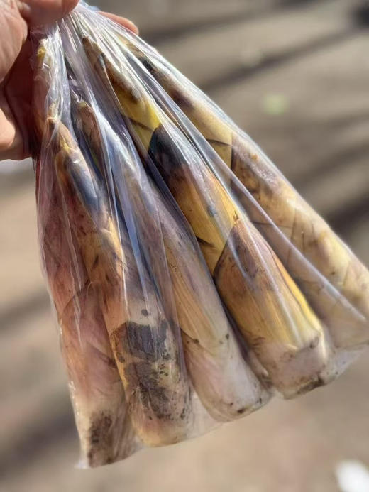 临安天目山雷春笋 商品图7