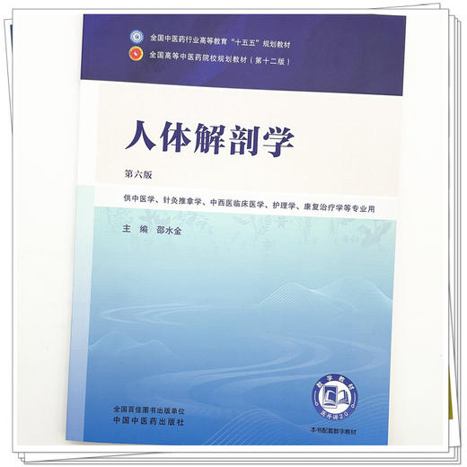 人体解剖学 邵水金 主编（第六版）全国中医药行业高等教育十五五规划教材第十二版书 中国中医药出版社 商品图3