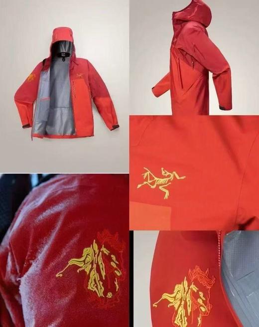 点此购买 始祖鸟男女款马年新春限定骏马刺绣图案GTX硬壳连帽防风防水滑雪衣冲锋衣 ggd 340777 商品图13