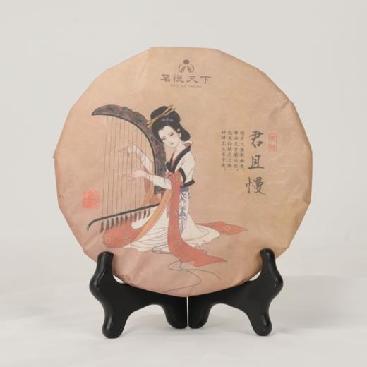 四大茗乐茶饼系列【君且慢】2017年高山贡眉 商品图0