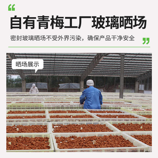 乳酸菌味梅饼80g/袋 商品图3