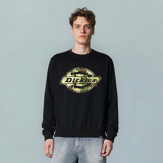 Dickies经典美式复古毛圈布圆领卫衣 前中绒毛印花LOGO卫衣男女 DK0A88N1 商品图0