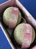 【顺丰快递】海南牛三蜜瓜 网纹瓜 2粒礼盒装 新鲜当季水果  - ATX 商品缩略图0