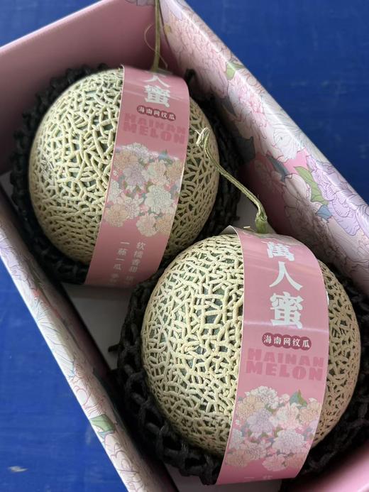 【顺丰快递】海南牛三蜜瓜 网纹瓜 2粒礼盒装 新鲜当季水果  - ATX 商品图0