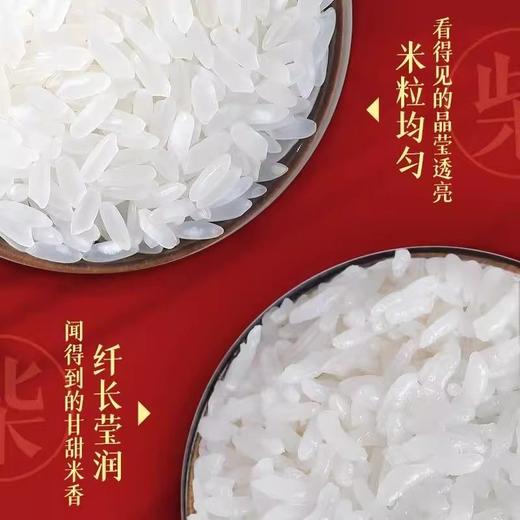 【五常直供❗️东北黑土培育大米】自有基地种植，当季新米，米香四溢！细腻润滑新五常大米东北大米包邮真空五斤十斤装长粒米 商品图1