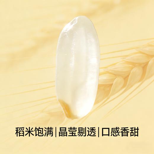 【东滩绿港】新稻新米2.5kg真空 商品图2