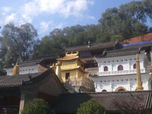 4.17/4.23【春染晋北 镜藏千年】晋北古建·长城杏花·火山土林7天摄影团：太原-晋祠-五台山-悬空寺-应县木塔-雁门关-阳高长城边塞杏花-大同云冈石窟-火山群-土林 商品图6