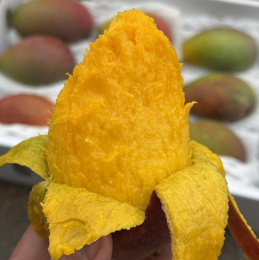 海南空运贵妃芒 商品图3