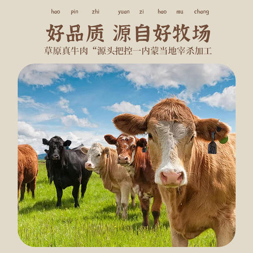 【内蒙古特产❗️风干胸口骨】胸口骨带筋带肉，咀嚼时既有瘦肉的紧实，又有软骨的脆韧，口骨肥瘦相间满口飘香内蒙美食开袋即食167克QQ 商品图3