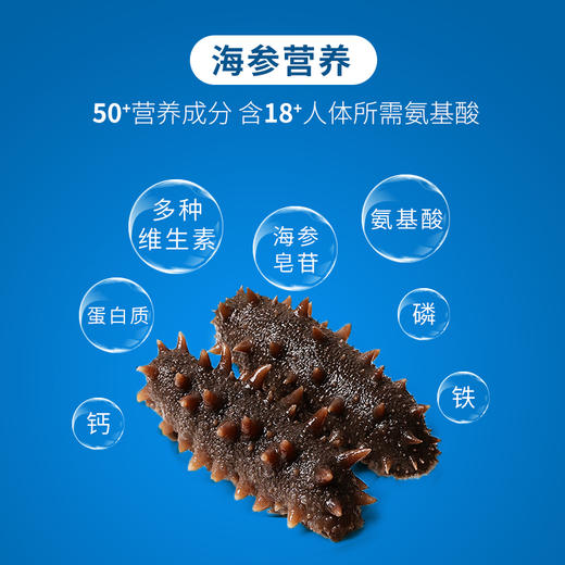 热卖中！！【顺丰直发】忘舌特级鲜食海参 6头帝王参 免泡发 500g/包 商品图4