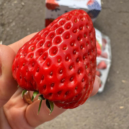 丹东99草莓-3盒装 商品图3