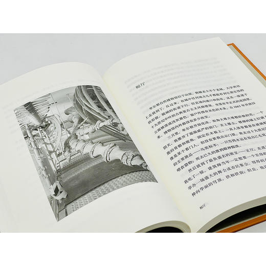 去岛屿：北极光、鲣鸟与鲸(自然文库) 商品图8