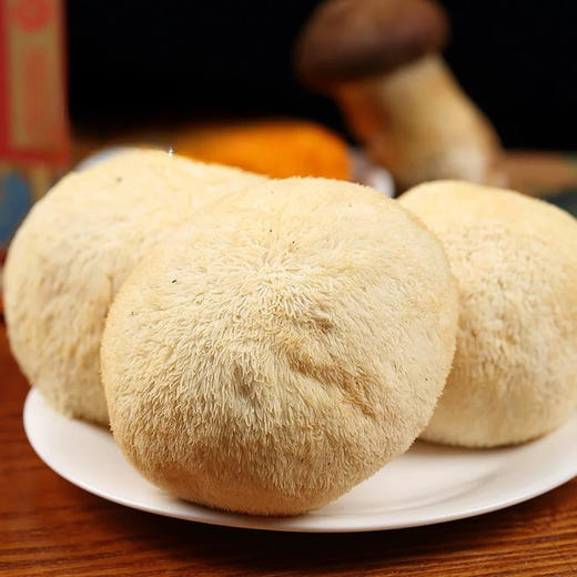 猴头菇 鲜 商品图0