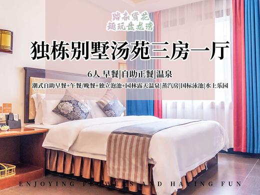 【错峰出游】别墅三房一厅 商品图0