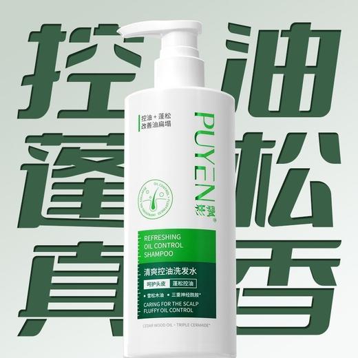 飘影清爽控油洗发水 商品图2