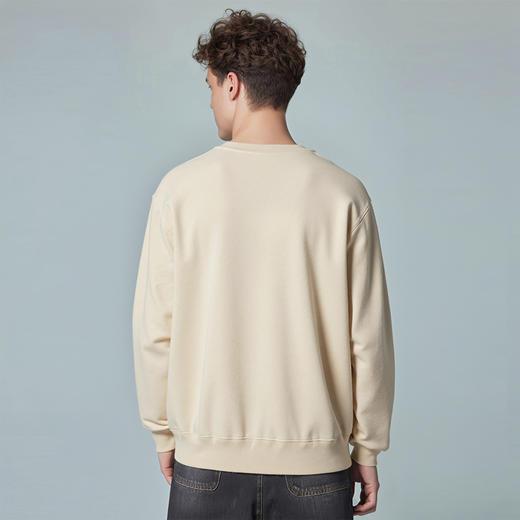 Dickies经典美式复古毛圈布圆领卫衣 前中绒毛印花LOGO卫衣男女 DK0A88N1 商品图3