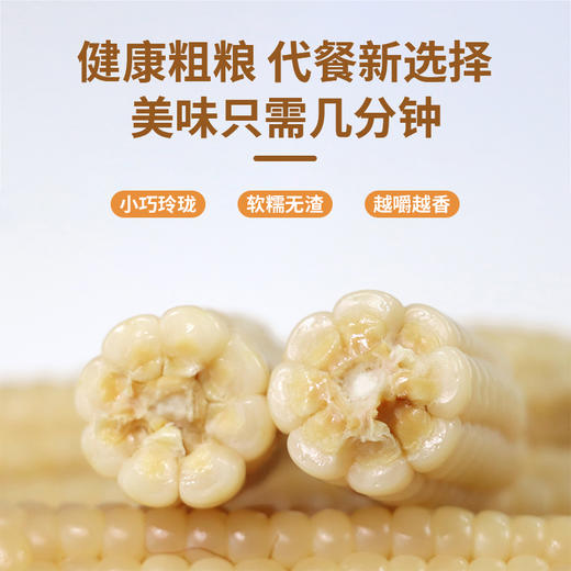 西双版纳拇指小玉米 轻食新宠  低脂代餐，饱腹感强，健康新选择！ 商品图3